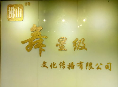 佛山舞星級文化傳播 融合傳統(tǒng)與現(xiàn)代的藝術(shù)使者